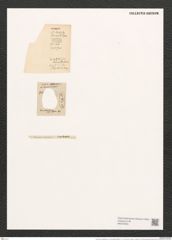 Encyonema caespitosum var. auerswaldii (Rabenh.) V. H. (de-Toni-Nr.: Genus 34, Species 1491) Zeichnungen Sammlung Grunow (NHMW-BOT-W0370200)